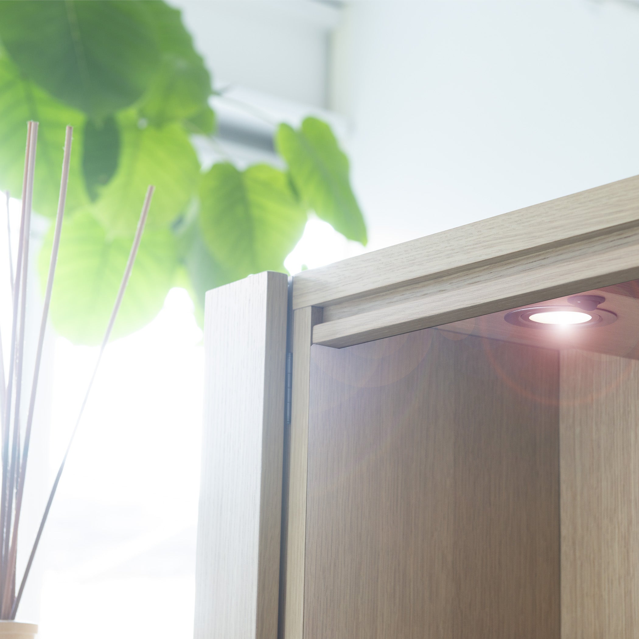 おぶつだん 『ひらり』