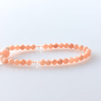 至極 珊瑚（サンゴ）